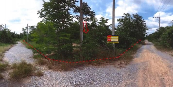 ใช่ 💖 ที่ดิน ปักธงชัย ราคาพิเศษ! 💖 รูปที่ 2