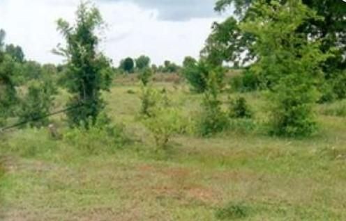 ใช่ 💖 ที่ดิน ปักธงชัย ราคาพิเศษ! 💖 รูปที่ 4