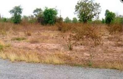 ใช่ 💖 ที่ดิน ปักธงชัย ราคาพิเศษ! 💖 รูปที่ 3