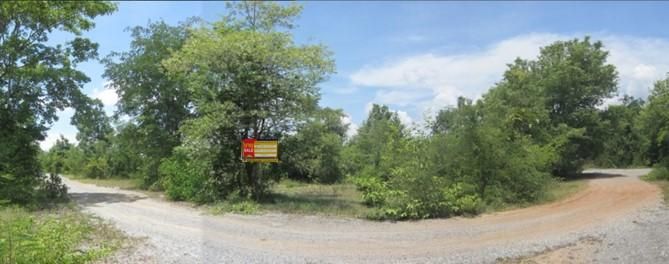 ใช่ 💖 ที่ดิน ปักธงชัย ราคาพิเศษ! 💖 รูปที่ 2