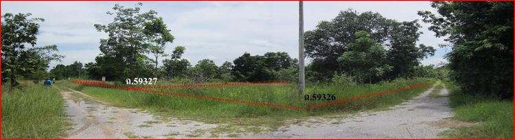 ใช่ 💖 ที่ดิน ปักธงชัย ราคาพิเศษ! 💖 รูปที่ 3