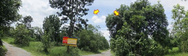 💖 ที่ดิน ปักธงชัย ราคาพิเศษ! 💖