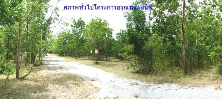 ใช่ 💖 ที่ดิน ปักธงชัย ราคาพิเศษ! 💖 รูปที่ 4