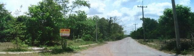 ใช่ 💖 ที่ดิน ปักธงชัย ราคาพิเศษ! 💖 รูปที่ 3