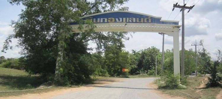 ใช่ 💖 ที่ดิน ปักธงชัย ราคาพิเศษ! 💖 รูปที่ 4