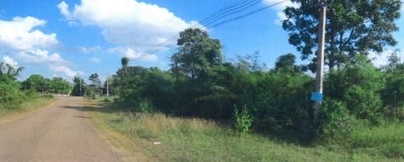 ใช่ 💖 ที่ดิน ปักธงชัย ราคาพิเศษ! 💖 รูปที่ 3