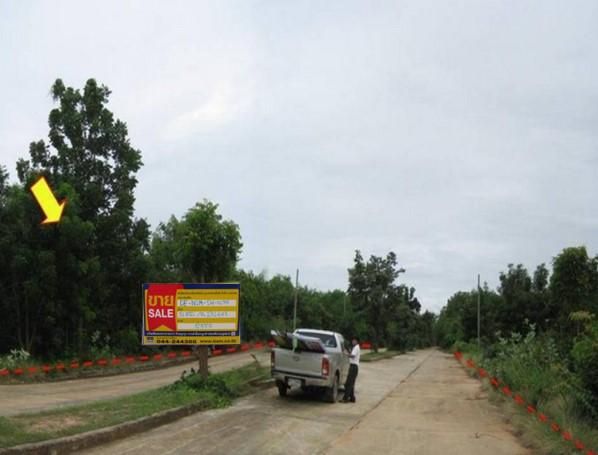 💖 ที่ดิน ปักธงชัย ราคาพิเศษ! 💖