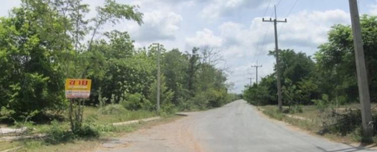 ใช่ 💖 ที่ดิน ปักธงชัย ราคาพิเศษ! 💖 รูปที่ 4