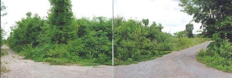 ใช่ 💖 ที่ดิน ปักธงชัย ราคาพิเศษ! 💖 รูปที่ 4