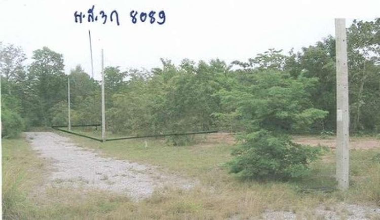 ใช่ 💖 ที่ดิน ปักธงชัย ราคาพิเศษ! 💖 รูปที่ 4