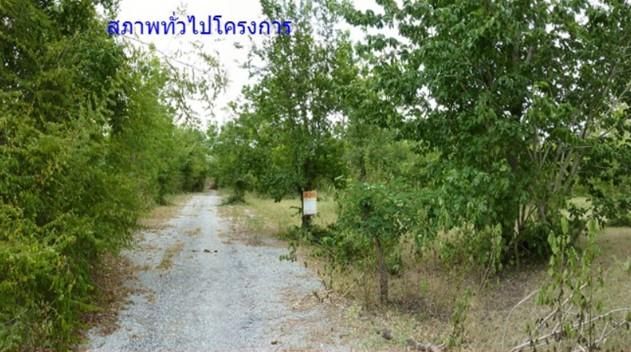 ใช่ 💖 ที่ดิน ปักธงชัย ราคาพิเศษ! 💖 รูปที่ 2