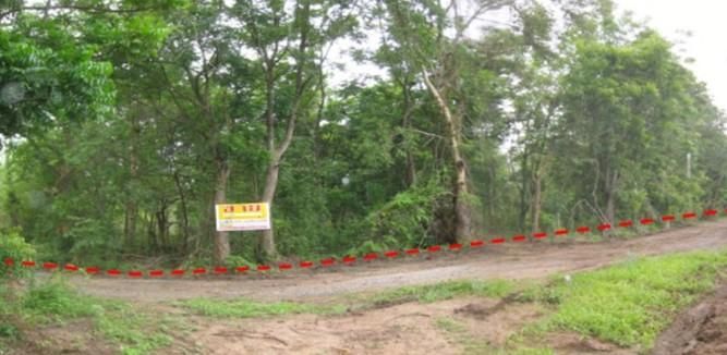 💖 ที่ดิน ปักธงชัย ราคาพิเศษ! 💖