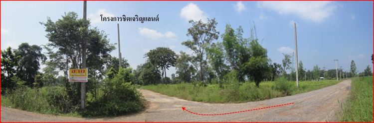 💖 ที่ดิน ปักธงชัย ราคาพิเศษ! 💖