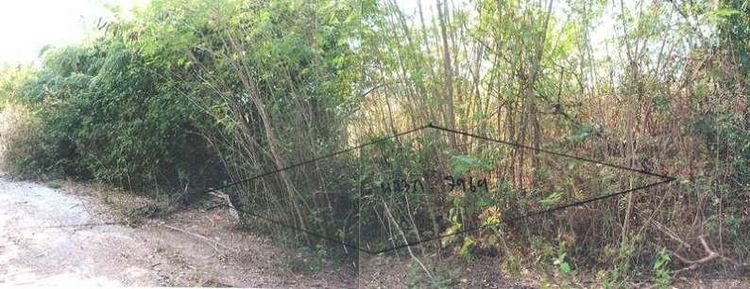 ใช่ 💖 ที่ดิน ปักธงชัย ราคาพิเศษ! 💖 รูปที่ 2