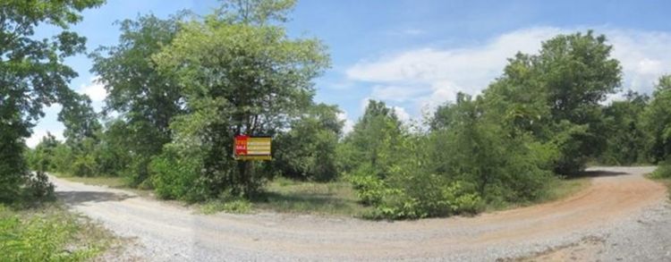 ใช่ 💖 ที่ดิน ปักธงชัย ราคาพิเศษ! 💖 รูปที่ 2