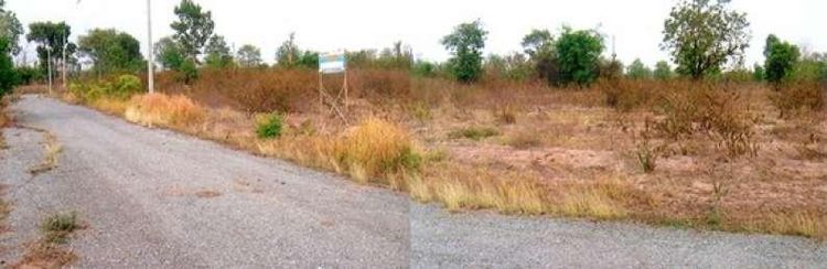 ใช่ 💖 ที่ดิน ปักธงชัย ราคาพิเศษ! 💖 รูปที่ 4