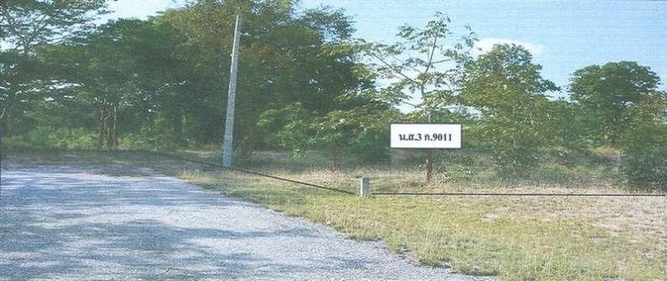 ใช่ 💖 ที่ดิน ปักธงชัย ราคาพิเศษ! 💖 รูปที่ 2