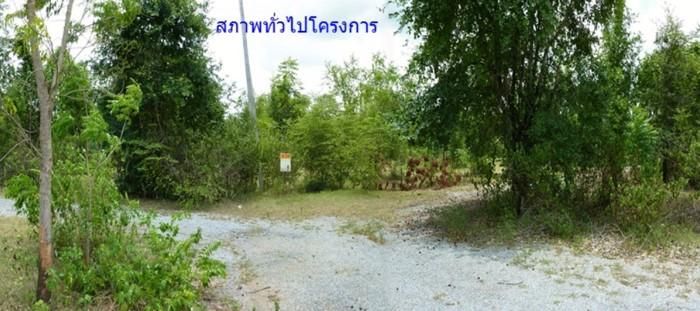 ใช่ 💖 ที่ดิน ปักธงชัย ราคาพิเศษ! 💖 รูปที่ 4