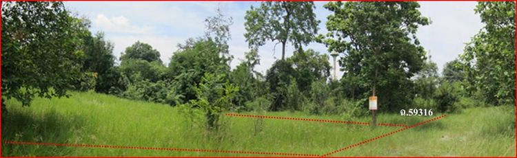 ใช่ 💖 ที่ดิน ปักธงชัย ราคาพิเศษ! 💖