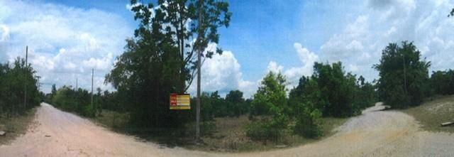 💖 ที่ดิน ปักธงชัย ราคาพิเศษ! 💖