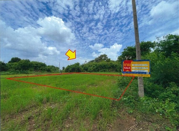 💖 ที่ดิน ปักธงชัย ราคาพิเศษ! 💖