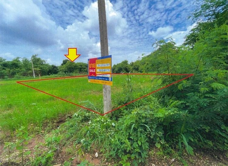 ใช่ 💖 ที่ดิน ปักธงชัย ราคาพิเศษ! 💖 รูปที่ 2