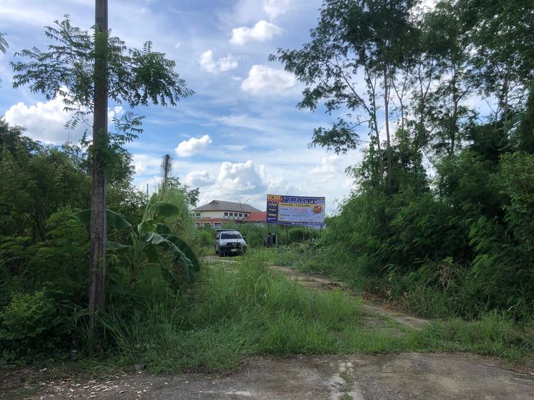 ใช่ 💖 ที่ดิน เมืองนครสวรรค์ ราคาพิเศษ! 💖