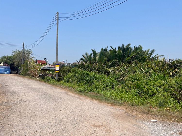 ใช่ 💖 ที่ดิน เมืองสมุทรสงคราม ราคาพิเศษ! 💖 รูปที่ 4