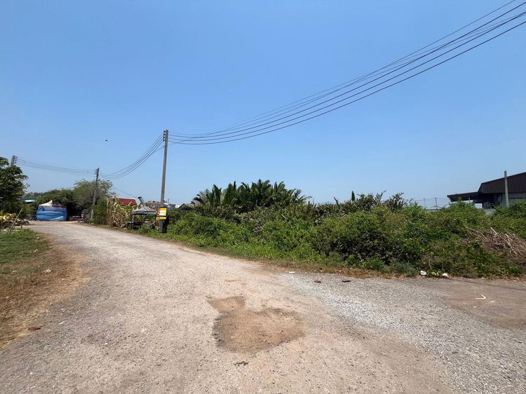 ใช่ 💖 ที่ดิน เมืองสมุทรสงคราม ราคาพิเศษ! 💖 รูปที่ 2