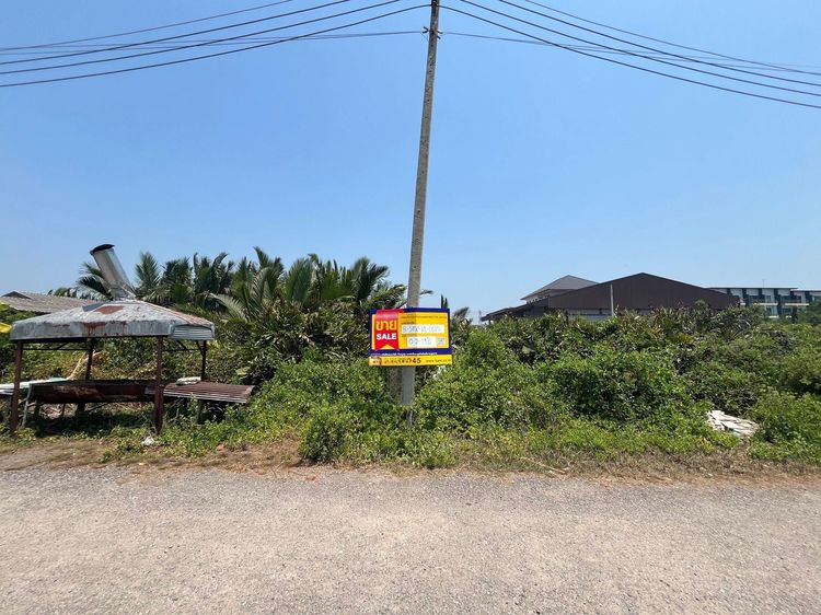 ใช่ 💖 ที่ดิน เมืองสมุทรสงคราม ราคาพิเศษ! 💖