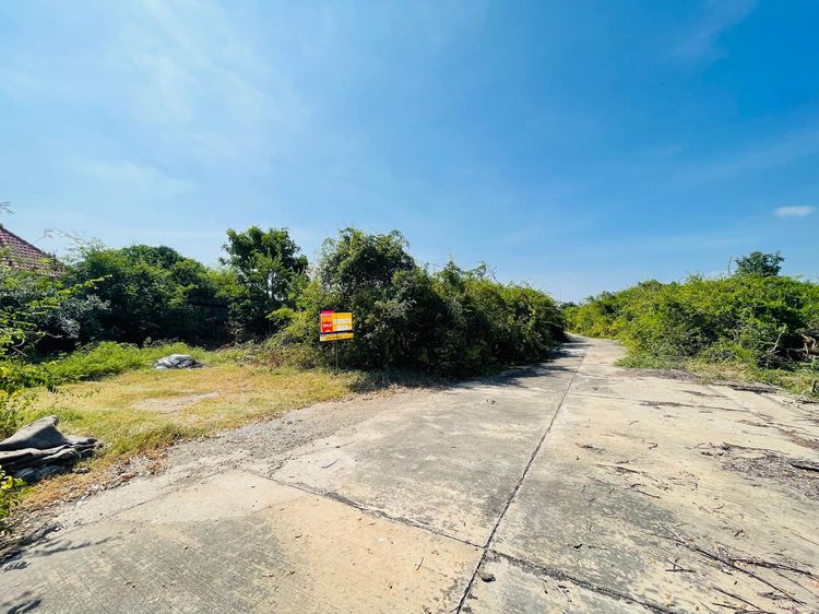 ใช่ 💖 ที่ดิน อู่ทอง ราคาพิเศษ! 💖 รูปที่ 3