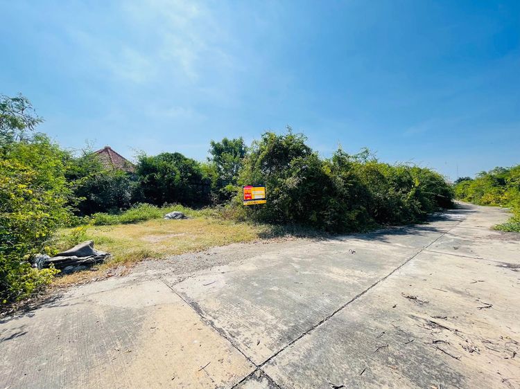 ใช่ 💖 ที่ดิน อู่ทอง ราคาพิเศษ! 💖 รูปที่ 2