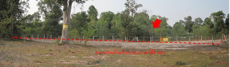 ใช่ 💖 ที่ดิน เมืองอุบลราชธานี ราคาพิเศษ! 💖 รูปที่ 2