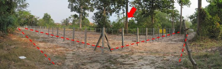 💖 ที่ดิน เมืองอุบลราชธานี ราคาพิเศษ! 💖