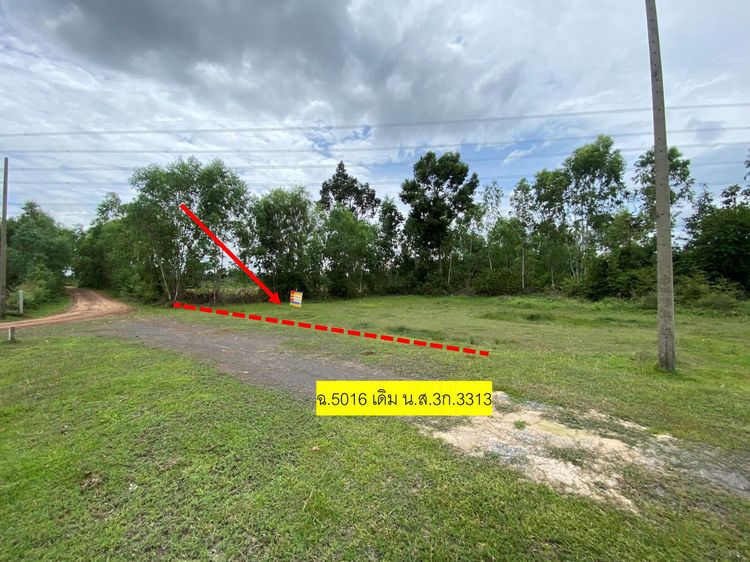 ใช่ 💖 ที่ดิน เหล่าเสือโก้ก ราคาพิเศษ! 💖 รูปที่ 2