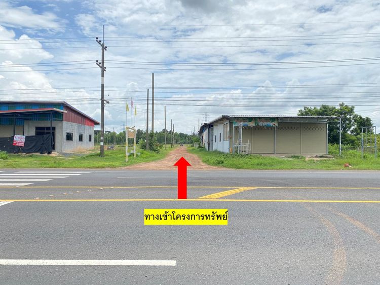 ใช่ 💖 ที่ดิน เหล่าเสือโก้ก ราคาพิเศษ! 💖 รูปที่ 4