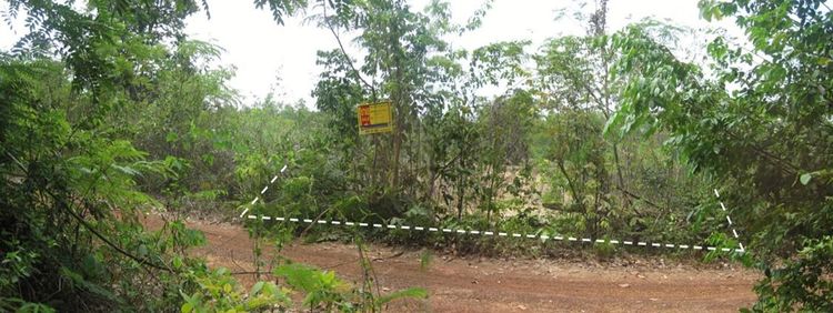 ใช่ 💖 ที่ดิน กิ่งอำเภอสว่างวีระวงศ์ ราคาพิเศษ! 💖