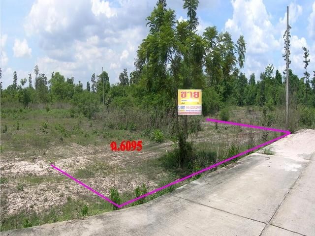 ใช่ 💖 ที่ดิน กิ่งอำเภอสว่างวีระวงศ์ ราคาพิเศษ! 💖