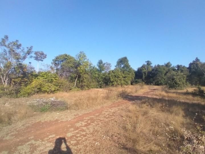 ใช่ 💖 ที่ดิน เมืองอุบลราชธานี ราคาพิเศษ! 💖 รูปที่ 4