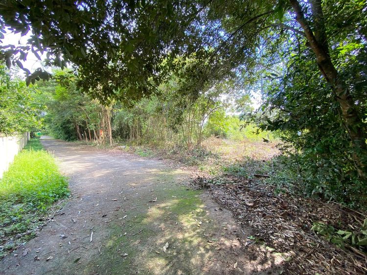 āđāļāđ ð āļāļĩāđāļāļīāļ āļ§āļēāļĢāļīāļāļāļģāļĢāļēāļ āļĢāļēāļāļēāļāļīāđāļĻāļĐ! ð āļĢāļđāļāļāļĩāđ 3