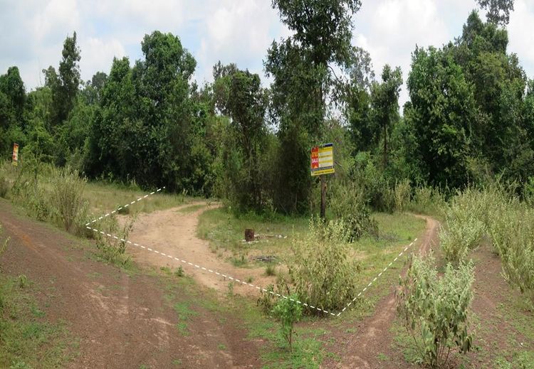 💖 ที่ดิน เมืองอุบลราชธานี ราคาพิเศษ! 💖