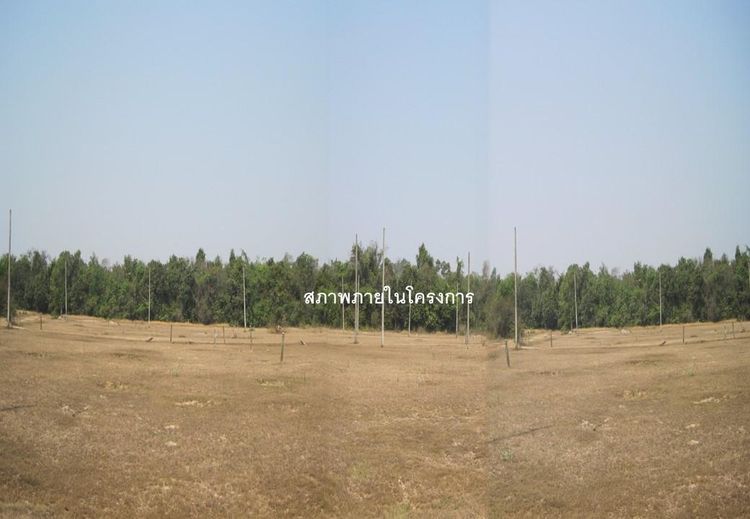 āđāļāđ ð āļāļĩāđāļāļīāļ āđāļĄāļ·āļāļāļāļļāļāļĨāļĢāļēāļāļāļēāļāļĩ āļĢāļēāļāļēāļāļīāđāļĻāļĐ! ð āļĢāļđāļāļāļĩāđ 2