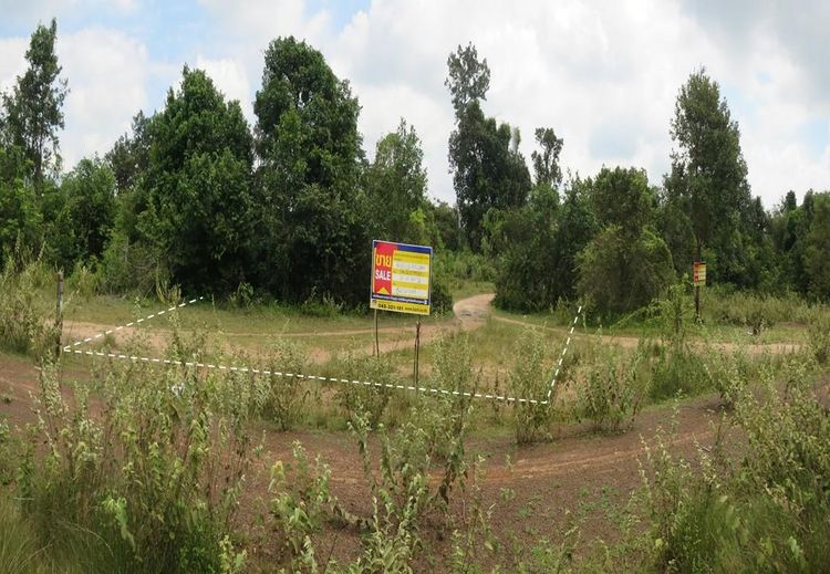 💖 ที่ดิน เมืองอุบลราชธานี ราคาพิเศษ! 💖