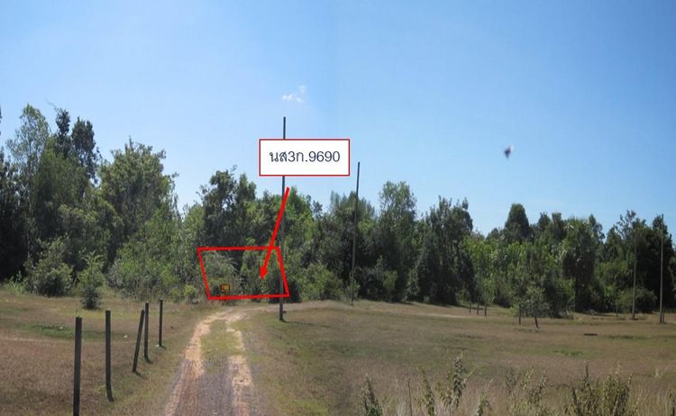 💖 ที่ดิน เมืองอุบลราชธานี ราคาพิเศษ! 💖