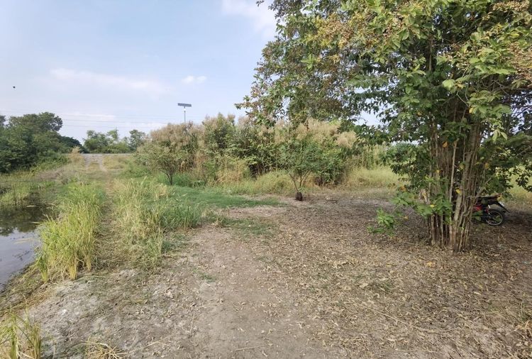 ใช่ 💖 ที่ดิน บางปะอิน ราคาพิเศษ! 💖 รูปที่ 4