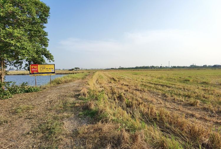 ใช่ 💖 ที่ดิน บางปะอิน ราคาพิเศษ! 💖 รูปที่ 2