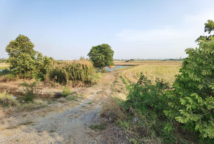 💖 ที่ดิน บางปะอิน ราคาพิเศษ! 💖