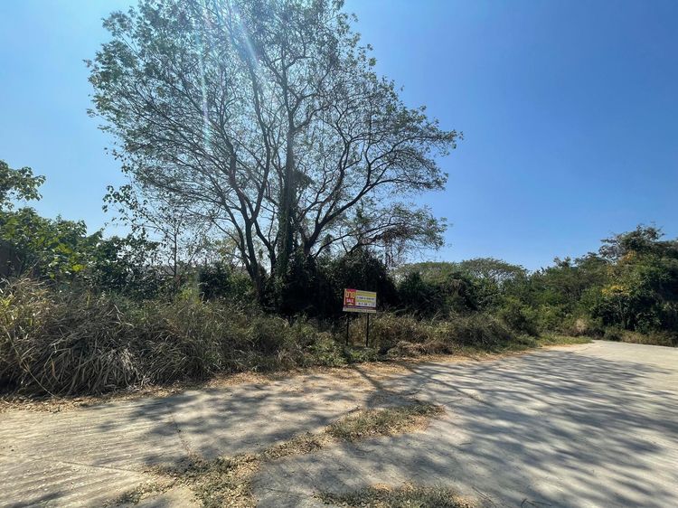 ใช่ 💖 ที่ดิน หางดง ราคาพิเศษ! 💖 รูปที่ 2