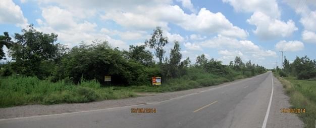 💖 ที่ดิน พัฒนานิคม ราคาพิเศษ! 💖