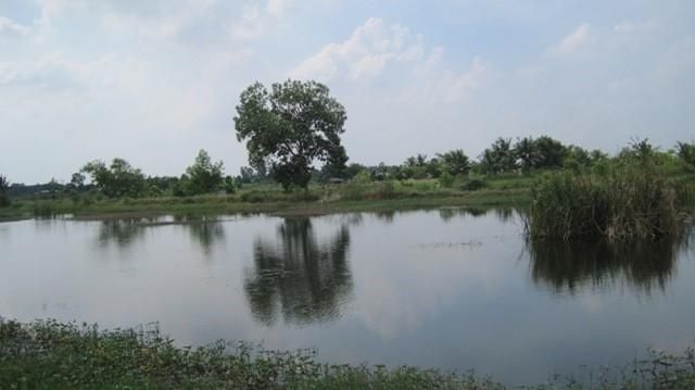 💖 ที่ดิน บางเลน ราคาพิเศษ! 💖 รูปที่ 4